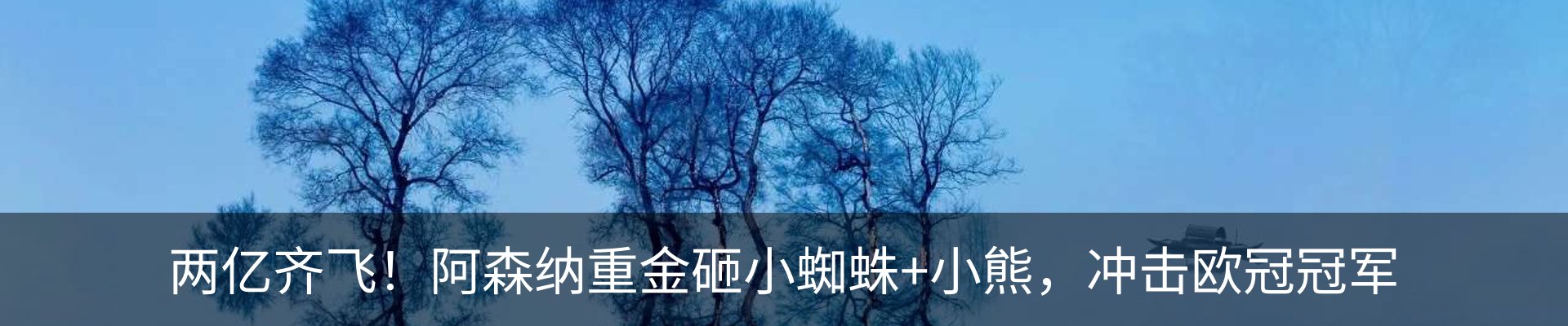 新闻动态