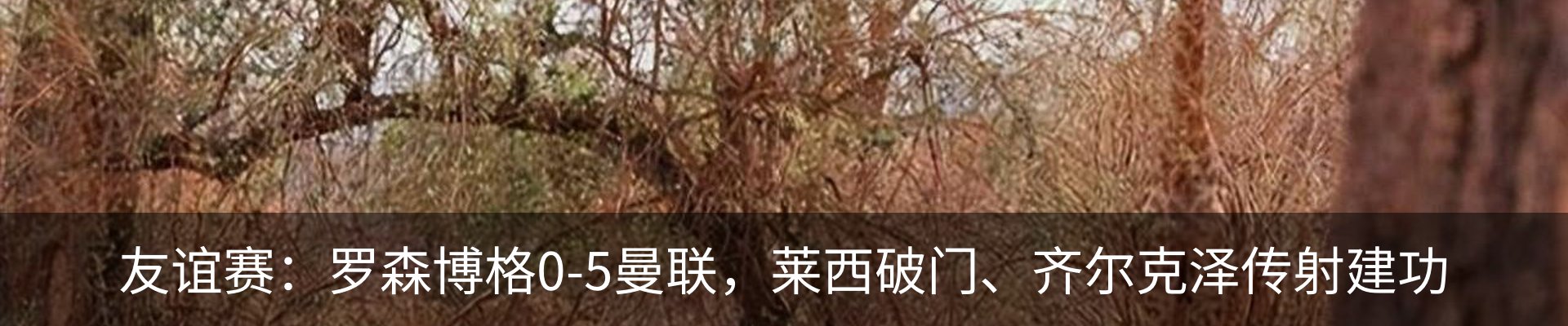 新闻动态