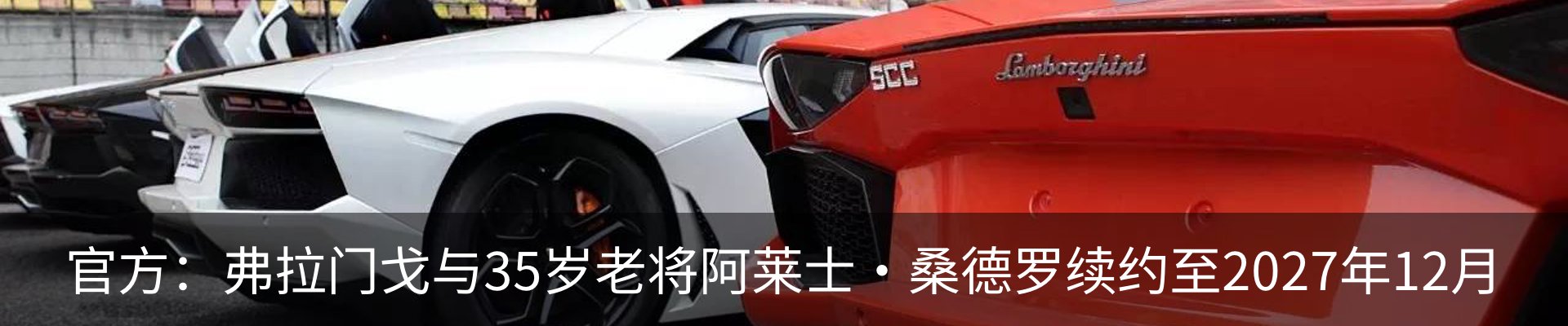 新闻动态