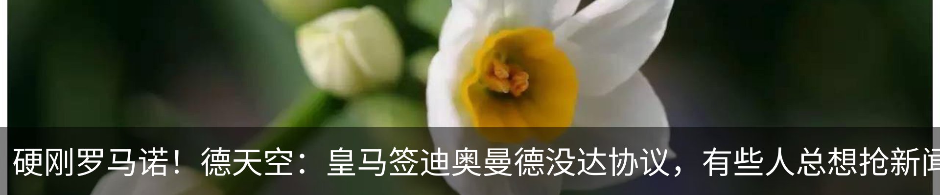 新闻动态