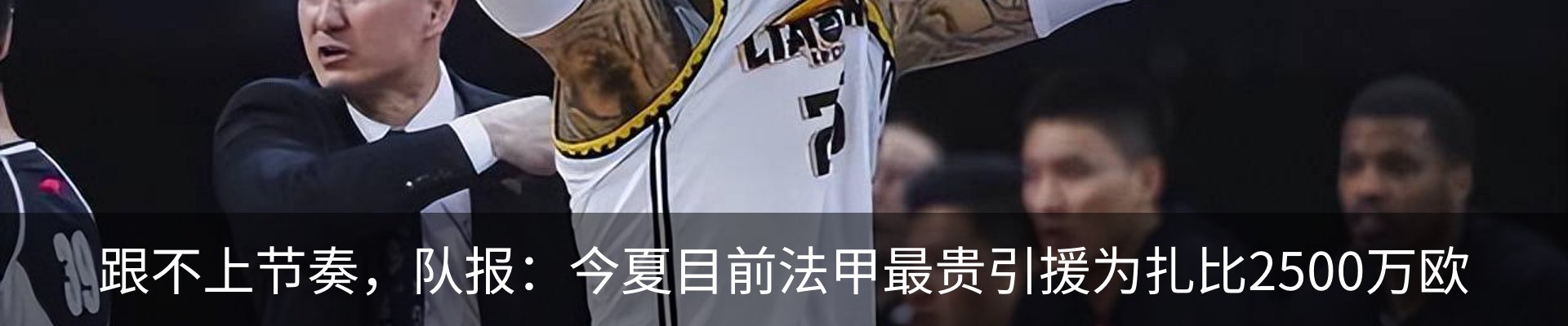 新闻动态