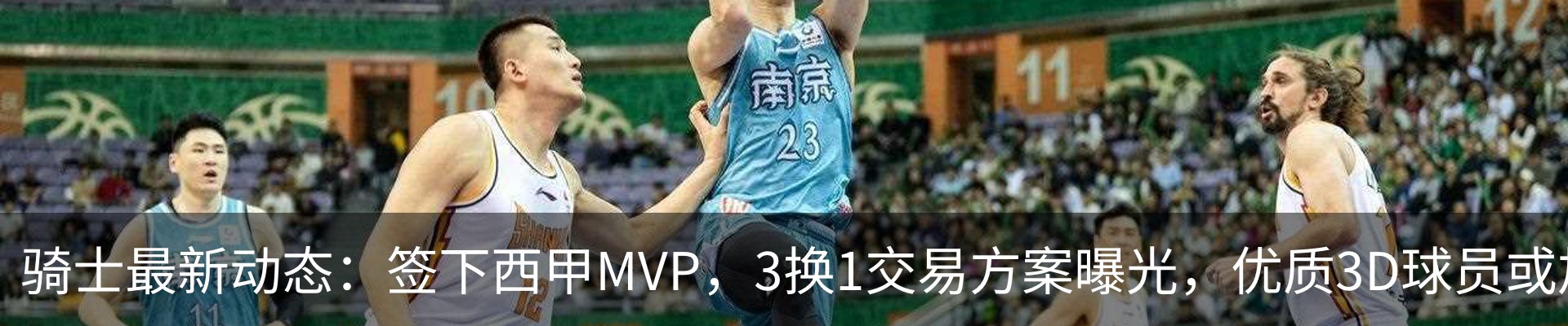 新闻动态