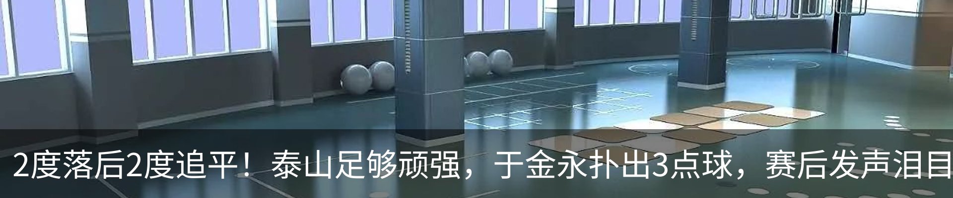 新闻动态